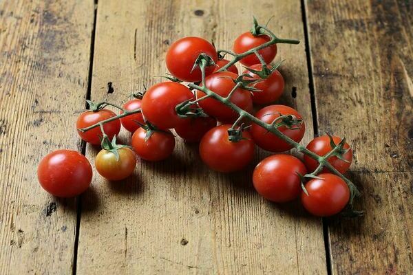 Cherry paradajky: fotografie, výhody