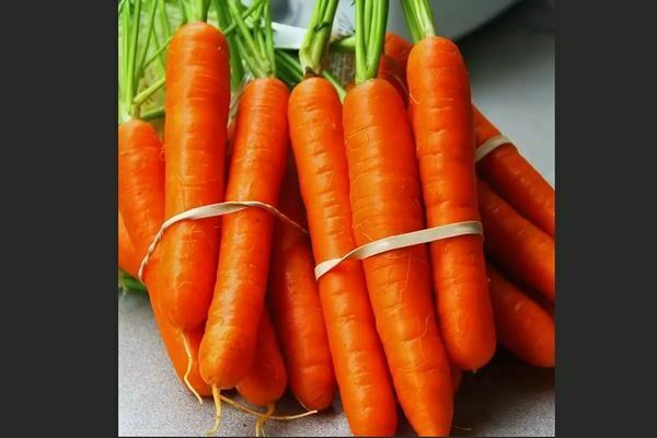 The best varieties of carrots: general information