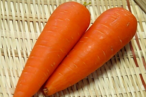 Les meilleures variétés de carottes précoces
