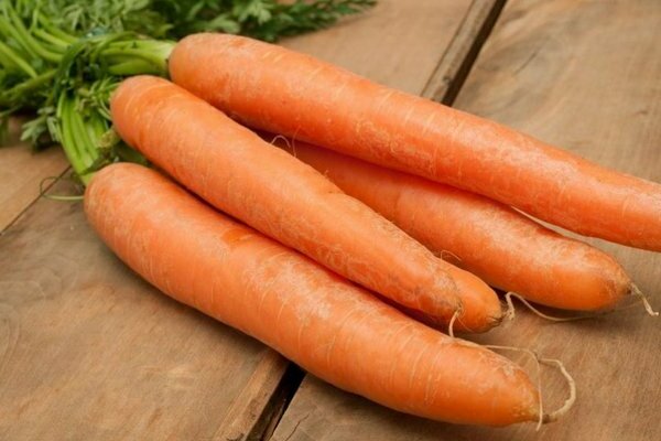 The best varieties of early carrots