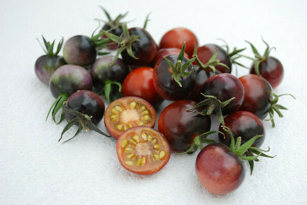 vlastnosti čerešňových paradajok a opis odrody