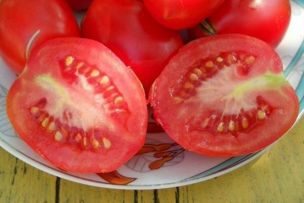 tomat damens mann