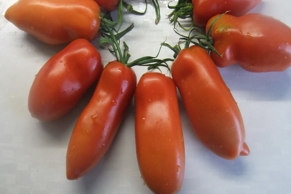 Tomaten-Pfeffer