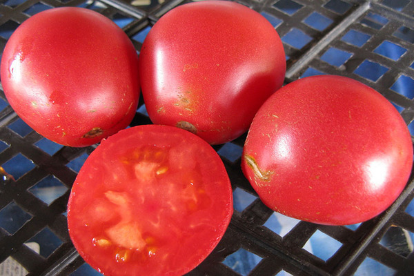 доматен трюфел