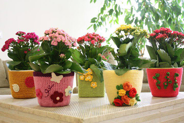 flower pots photo