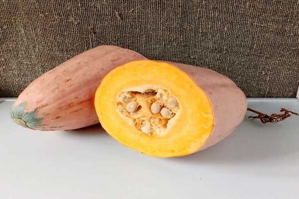 pumpkin pink banana description