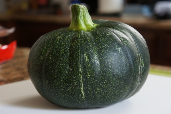 Green pumpkin: general information about properties