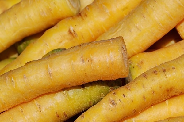 les carottes ont une couleur jaune