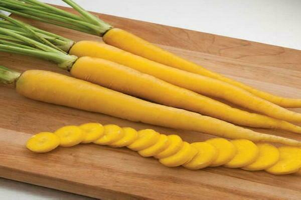geltonų morkų veislė