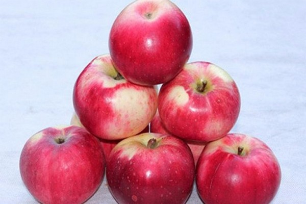 perarakan pelbagai jenis epal