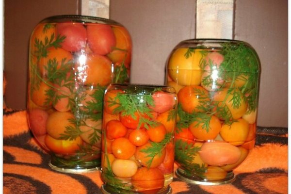 Carrot tomatoes for the winter