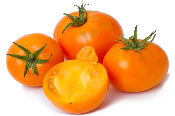 Persimmon tomato description