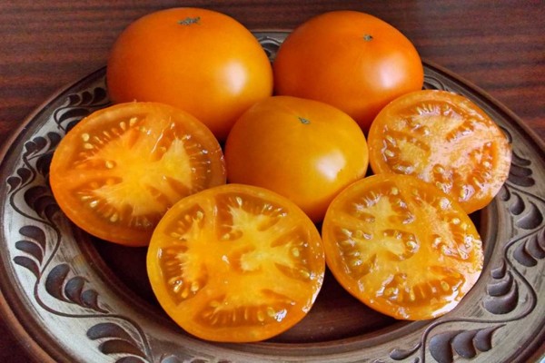 Persimmon tomato variety