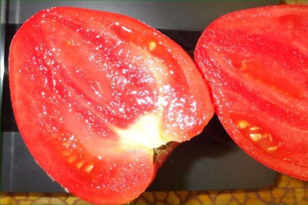 Mazarin tomato: description
