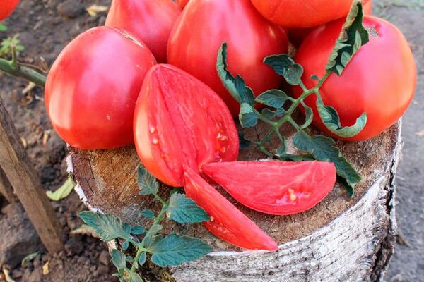 Описание на сорта домат Гранде