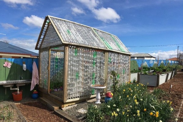 greenhouse + mula sa mga plastik na bote