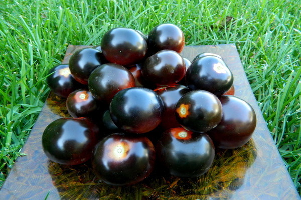 rôzne čierne paradajky