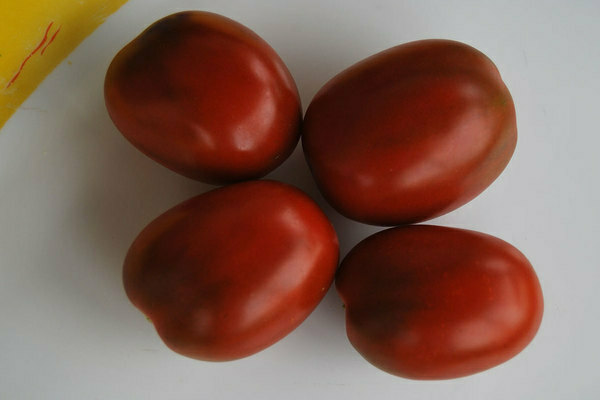 de barao pomidorai