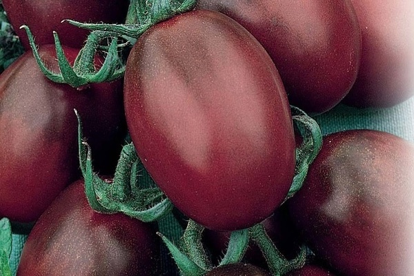 Tomato variety De Barao