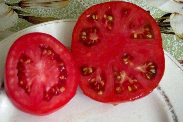 photo de patte d'ours tomate