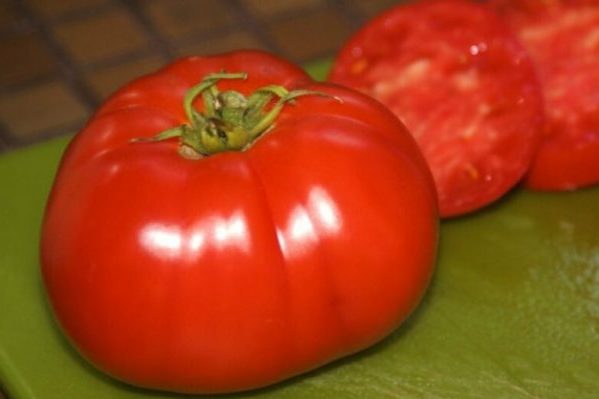 pomidorų meilės aprašymas
