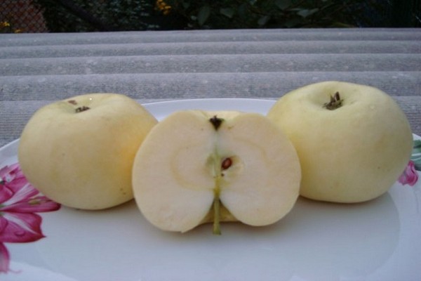 popisová fotografia medu z jablone