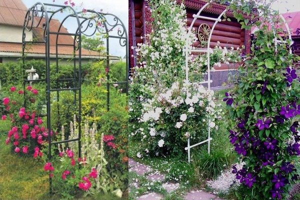 support + for clematis + do it yourself