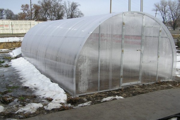 winter greenhouse + do it yourself