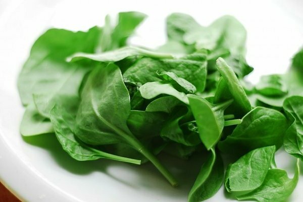 spinach photo