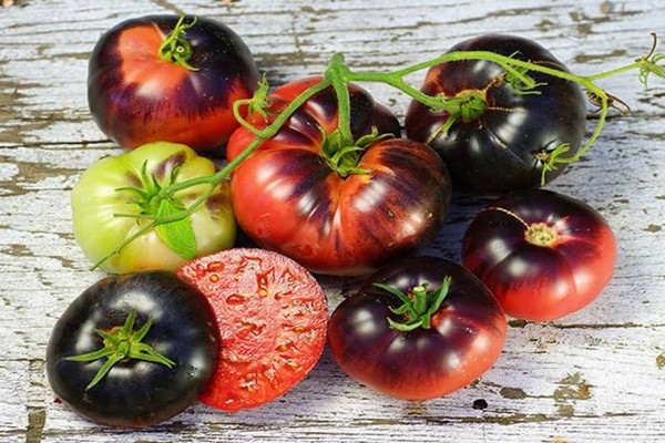 Tomatensorten Bewertungen Foto