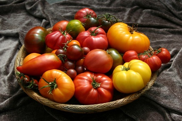 tomatenrassen beoordelingen foto