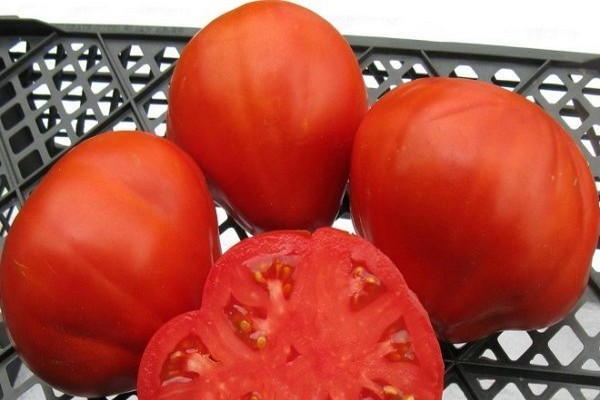 100 recenzií na paradajky