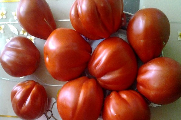 tomater hundre pund foto