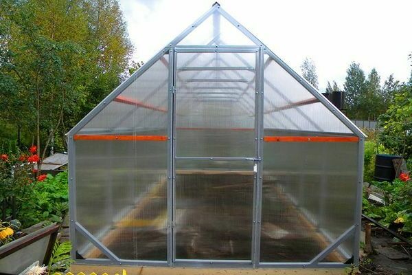 do-it-yourself greenhouse from a profile pipe