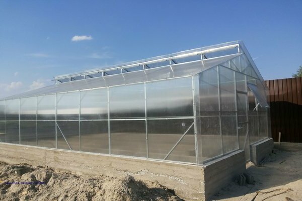do-it-yourself greenhouse para sa mitlider