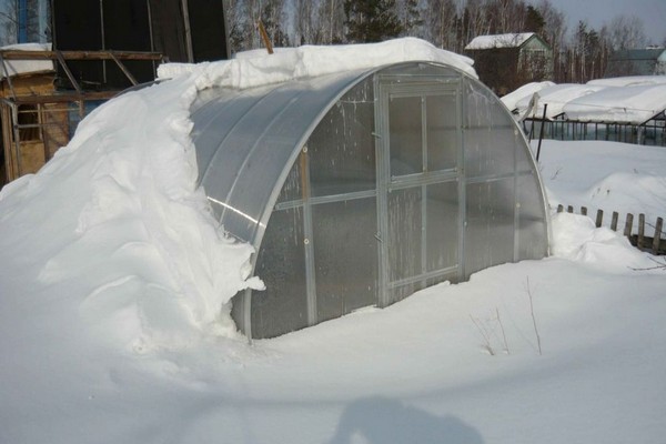 greenhouses + do it yourself photo