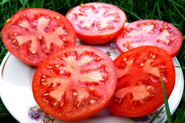 baltojo įdaro pomidorų aprašymas