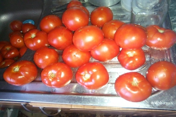 tomato big mom reviews photos