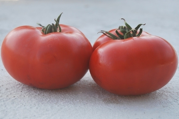 tomato Demidov