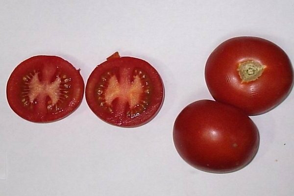 tomato Katya