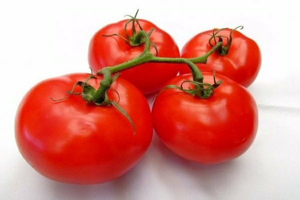 tomato Katya