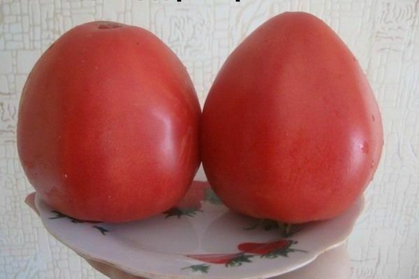 Tomato Konigsberg heart-shaped