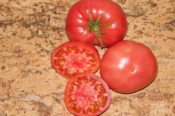 tomato raja raja