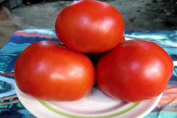 rajčica Crveno crvena