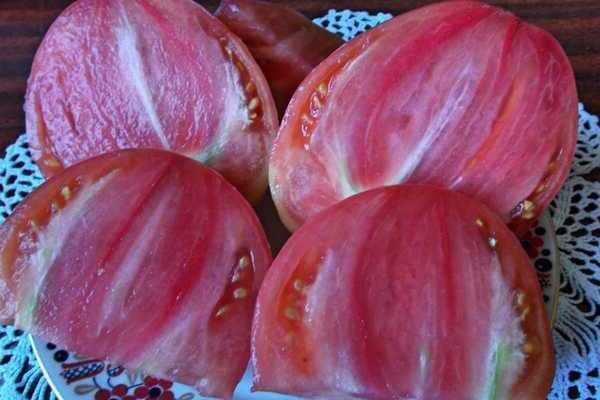 recenzia na fotografiu orol zobák paradajka