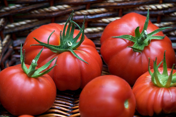 Avis sur le ventre de tomate khata photo
