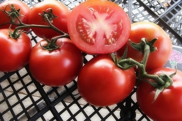 pomidorų mįslė