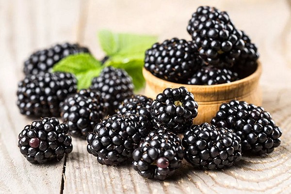 blackberry varieties