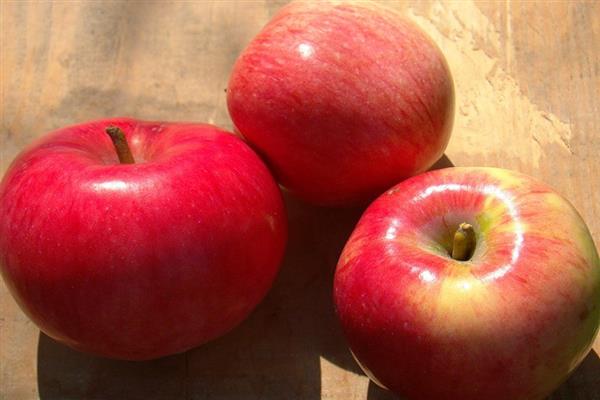 Fotografija crvenog jabuka